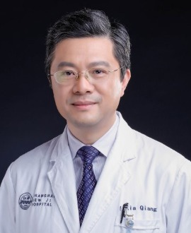 Xia Qiang
